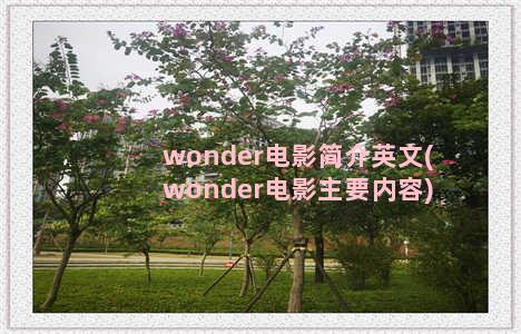 wonder电影简介英文(wonder电影主要内容)